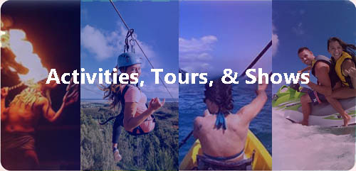 Activities,Tours, & Shows