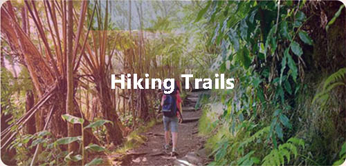 Hiking Trails